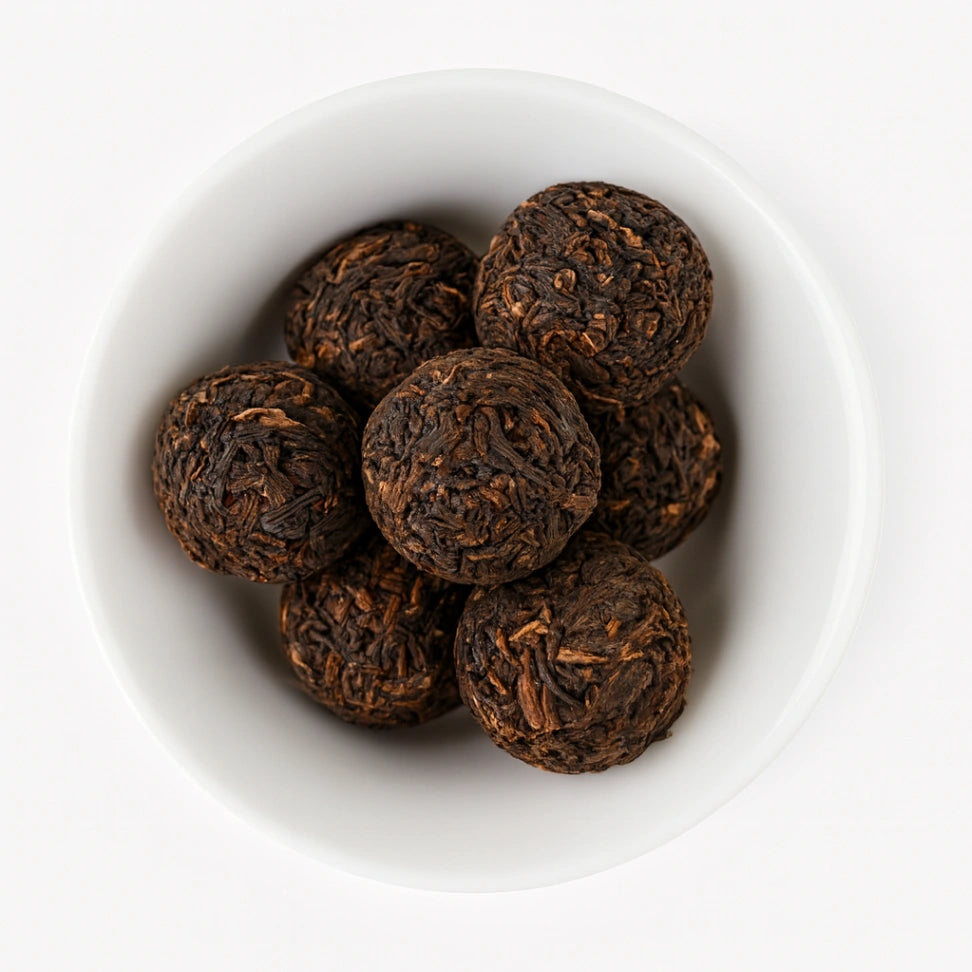 Gentle Warm Spring 2022