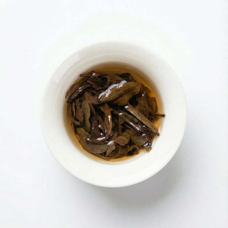 Golden Dragon Spring 2025